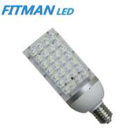 28W E40 LED Street Light for Garden or Road,Street Light LED,E40 LED Street Light